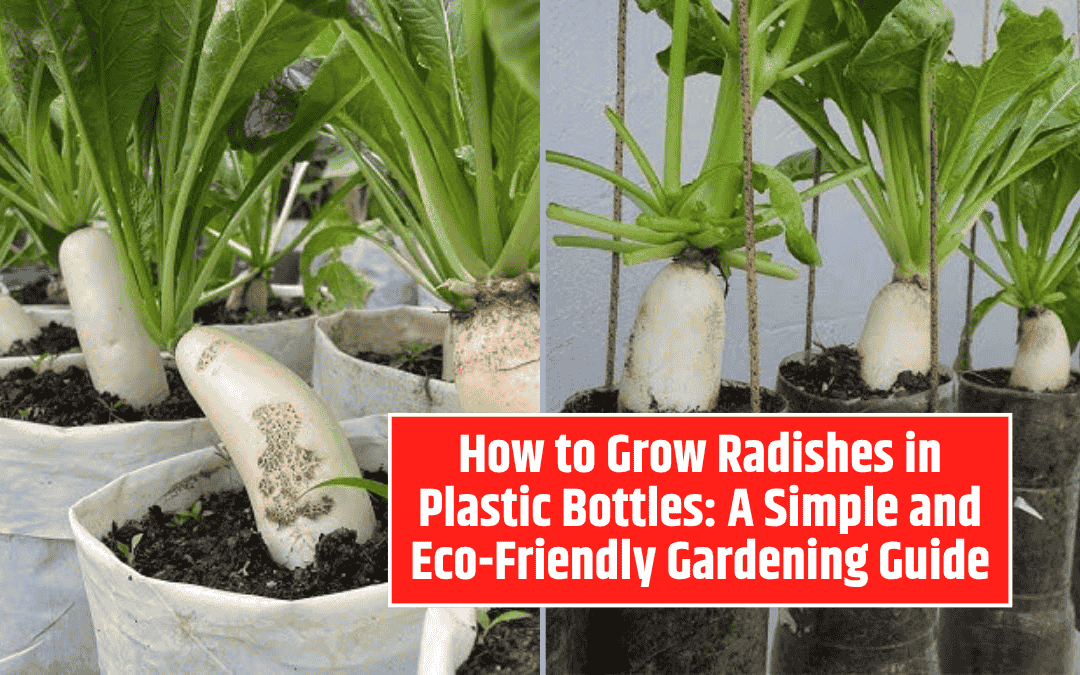 How to Grow Radishes in Plastic Bottles: A Simple and Eco-Friendly Gardening Guide